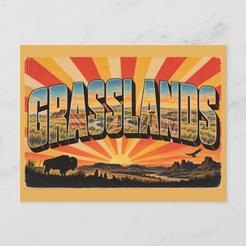 Grasslands NP SK Prairie Badlands Bison Art Postcard