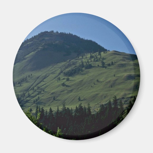 Grassy Covers Magnet (Front)