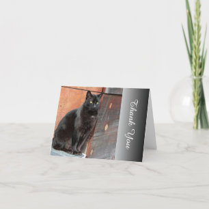 Grateful Black Cat Thank You Note Card