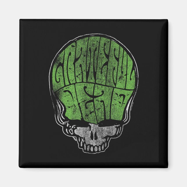 Grateful Dead Psychedelic Green Stealie Skull Vint Magnet (Front)