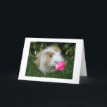 GRATEFUL GERBIL HAPPY IT'S "YOUR" BIRTHDAY NOT HIS CARD<br><div class="desc">THIS "GRATEFUL GERBIL" IS SO HAPPY IT IS "YOUR" BIRTHDAY AND "NOT HIS BIRTHDAY! FUN CARD TO SEND AND TO RECEIVE!</div>