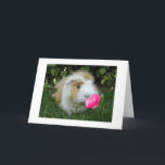 GRATEFUL GERBIL HAPPY IT'S "YOUR" BIRTHDAY NOT HIS CARD<br><div class="desc">THIS "GRATEFUL GERBIL" IS SO HAPPY IT IS "YOUR" BIRTHDAY AND "NOT HIS BIRTHDAY! FUN CARD TO SEND AND TO RECEIVE!</div>