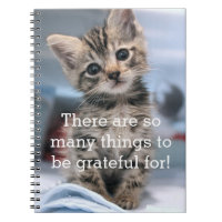 Grateful Kitten Journal