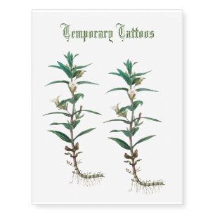 gratiola yellow flowers antique sketch temporary tattoos