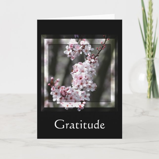 Gratitude Cherry Blossom Floral Thank You Card (Front)