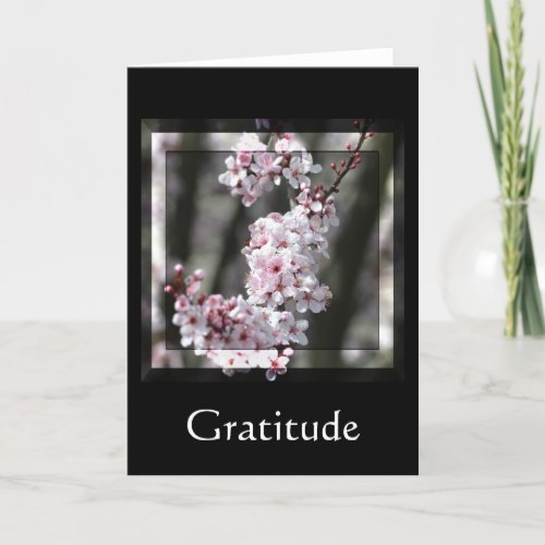 Gratitude Cherry Blossom Floral Thank You Card