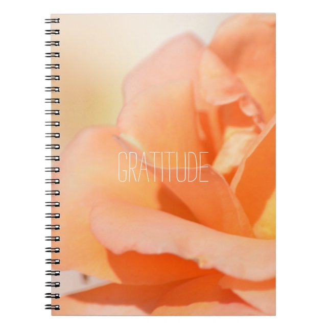Gratitude Journal (Front)