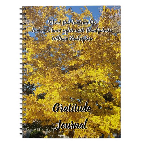 Gratitude Journal Yellow Leaf Fall Tree Photo 