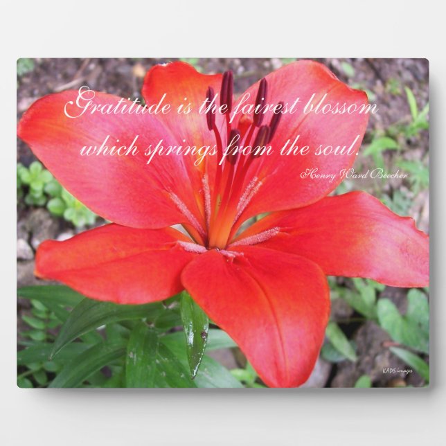 Gratitude Lilie Plaque (Front)