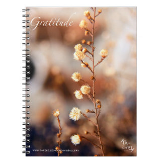 GRATITUDE - NOTEBOOKS