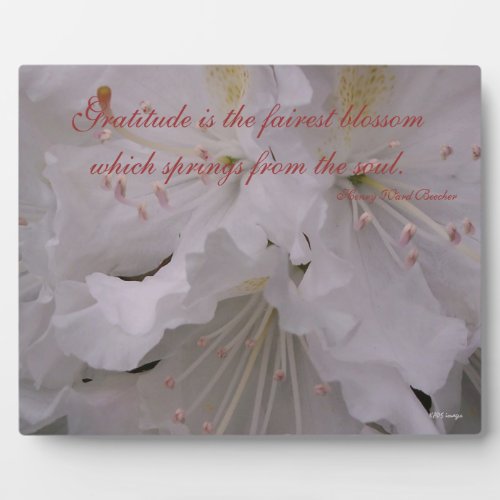 Gratitude Rhododendrons Plaque