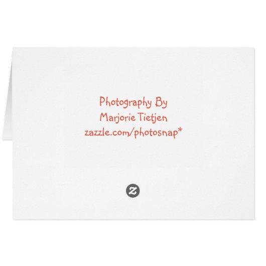 Gratitude Thank You Card (Back Horizontal)