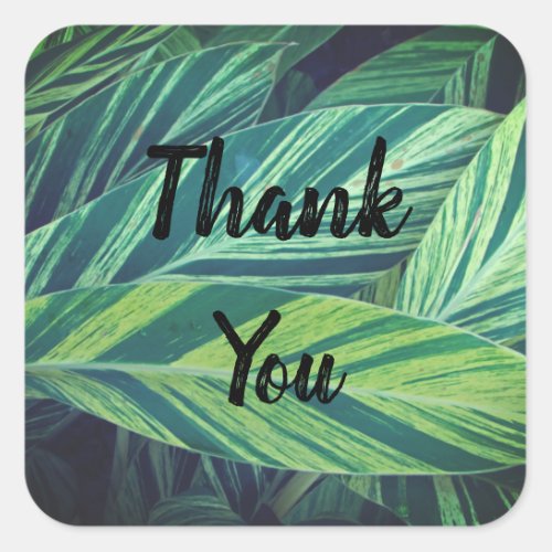 Gratitude Tropical Leaves Green Leaf Thank You Square Sticker