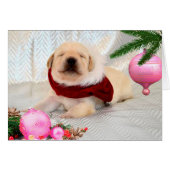 Gratitude week 2 Pink (Front Horizontal)