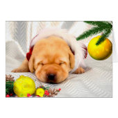 Gratitude week 2 Yellow (Front Horizontal)