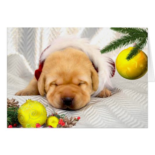 Gratitude week 2 Yellow (Front Horizontal)