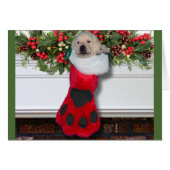 Gratitude week 3 Black (Front Horizontal)