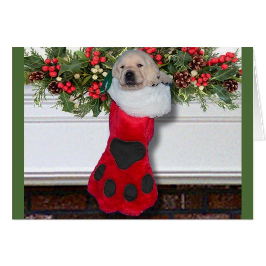 Gratitude week 3 Black (Front Horizontal)