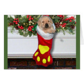 Gratitude week 3 Yellow (Front Horizontal)