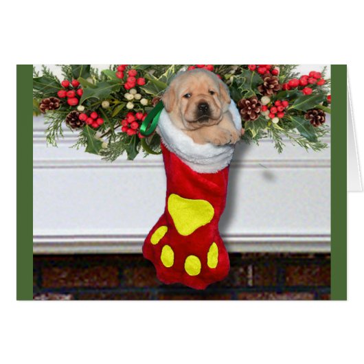 Gratitude week 3 Yellow (Front Horizontal)