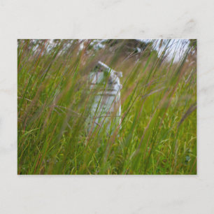 Grave, Smith Cemetery State Nature Preserve, Ohio Postcard