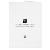 Gravensteen Castle Door Lock Photograph (Back)