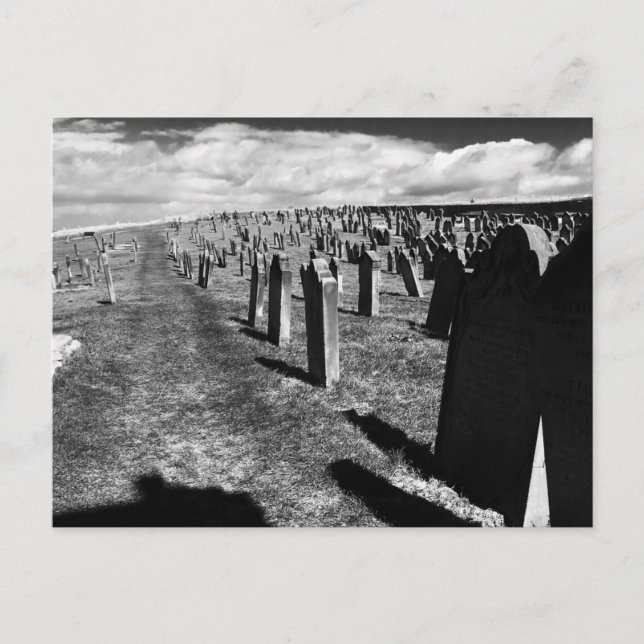 Gravestones, Whitby Abbey, Whitby, North Yorkshire Postcard (Front)