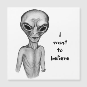 Gray Alien , I want to believe