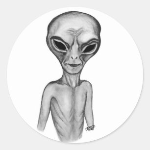 Gray Alien , I want to believe Classic Round Sticker