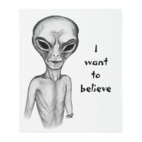 Gray Alien , I want to believe