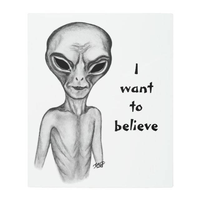 Gray Alien , I want to believe Metal Print (Front)