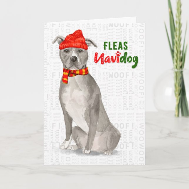 Gray American Staffordshire Pitbull Dog Funny Holiday Card (Front)