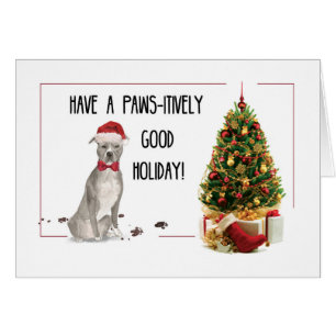 Gray American Staffordshire Terrier Fun Christmas Cards