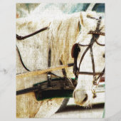 Gray Amish Buggy Horse (Front)