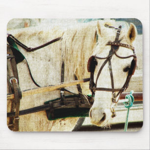 Gray Amish Buggy Horse Mouse Pad