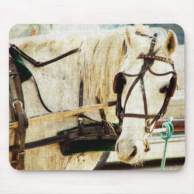 Gray Amish Buggy Horse Mouse Pad (Front)