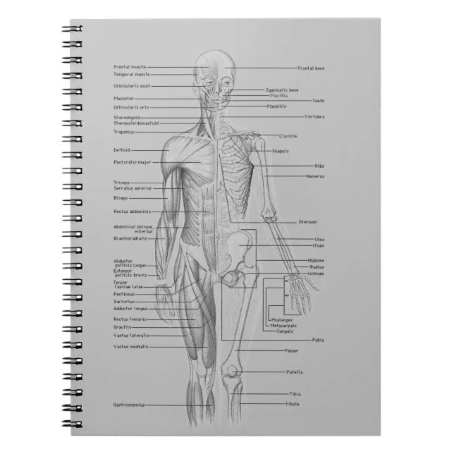 Gray Anatomy Notebook (Front)