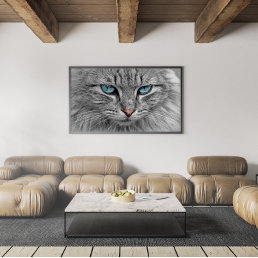 Gray and Black Tabby Cat with Beautiful Blue Eyes Poster