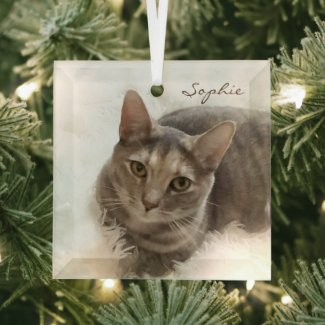 Gray and Brown Tabby Cat Beveled Glass Ornament