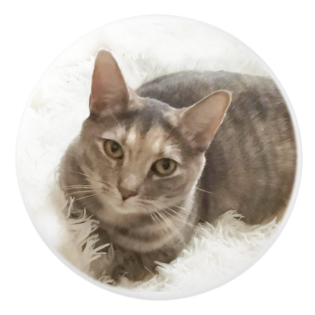 Gray and Brown Tabby Cat Ceramic Knob