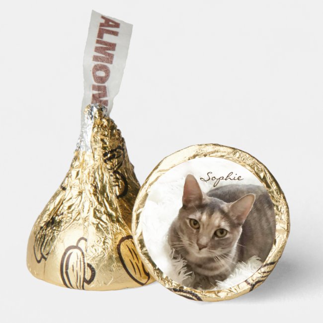 Gray and Brown Tabby Cat Hershey®'s Kisses®