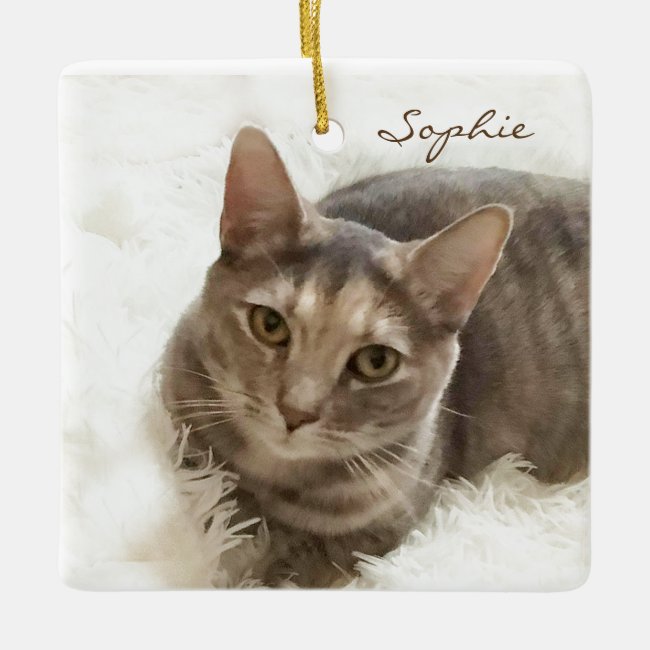 Gray and Brown Tabby Cat Ornament