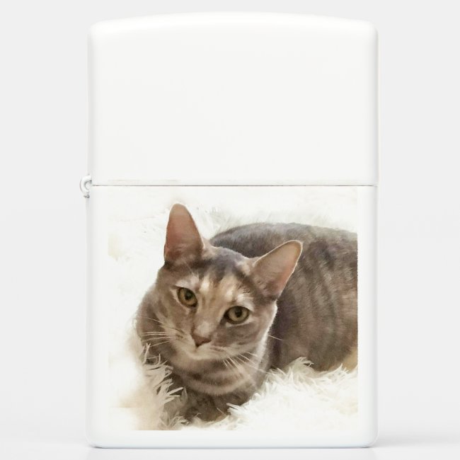 Gray and Brown Tabby Cat Zippo Lighter