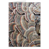 Gray and Burgundy Fungi Ripples (Front)