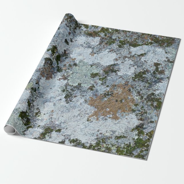 Gray and green illustration wrapping paper (Unrolled)