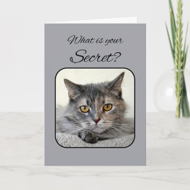 Gray and Orange Tortoiseshell Cat Happy Birthday Card (Front)
