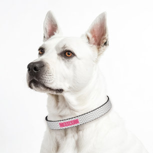 Gray and Pink Chevron Monogram Pet Collar