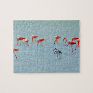 Gray and pink flamingos flock in lake jigsaw puzzle