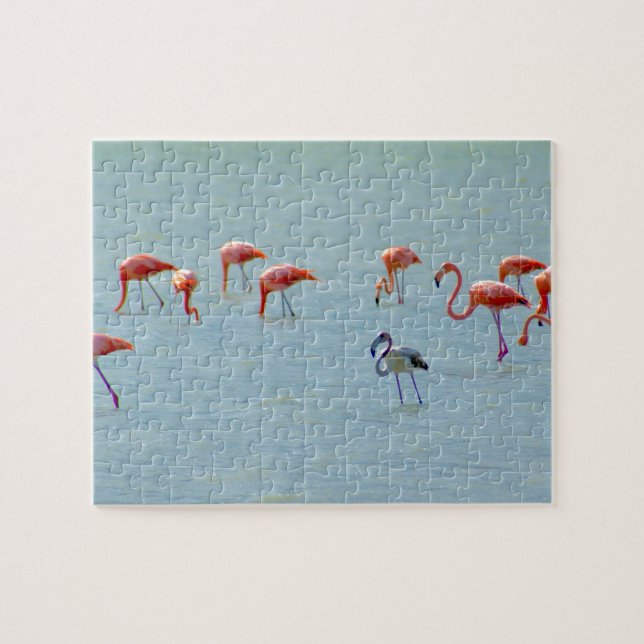 Gray and pink flamingos flock in lake jigsaw puzzle (Horizontal)