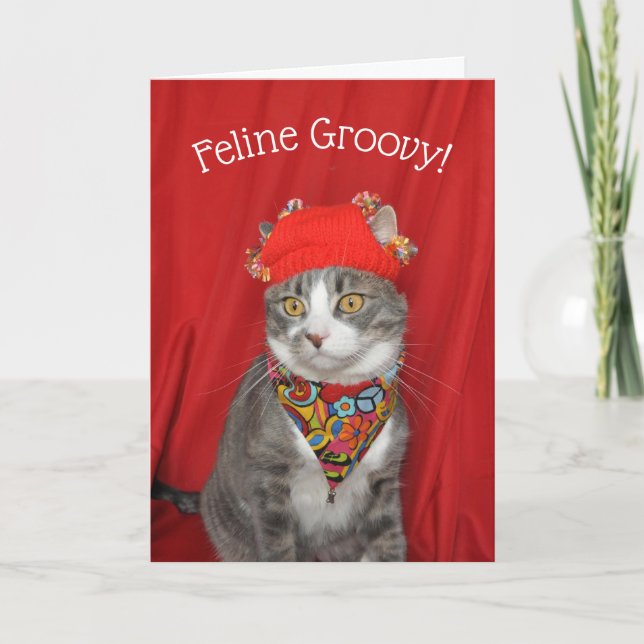 Gray and white cat Hippie Valentine's or Birthday Card (Front)